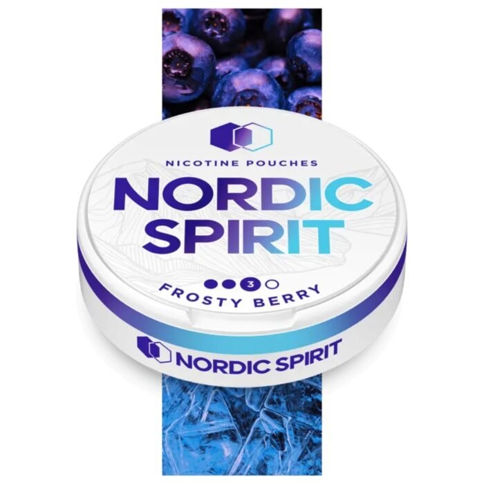 NORDIC NIC POUCH FROSTY BERRY 3* 8MG - Image 1