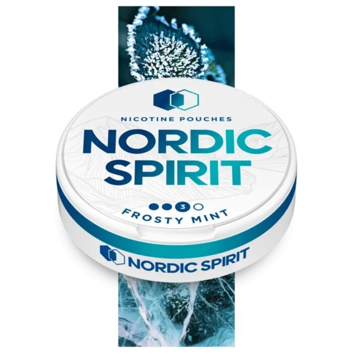 NORDIC NIC POUCH FROSTY MINT 3* 8MG - Image 1