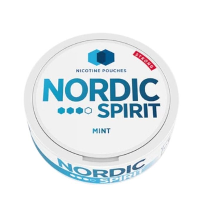 NORDIC NIC POUCH MINT 3* 8MG - Image 1