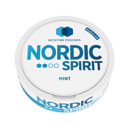 NORDIC NIC POUCH MINT 2* 5MG