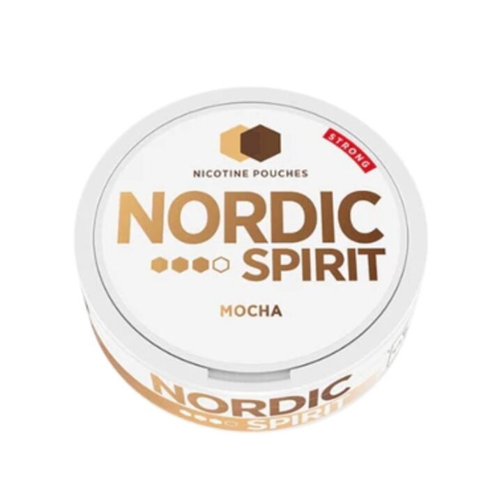 NORDIC NIC POUCH MOCHA 3* 8MG - Image 1